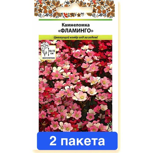 ������ ������ ����� ���������� ��������, ����� 2 ������ ����