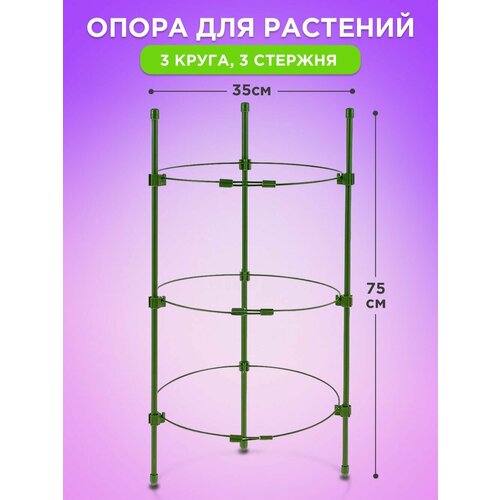 ������ ������ ����� ��� �������� ������� ��������, ��������� ������, ������� ���, �������������� ������������� ����