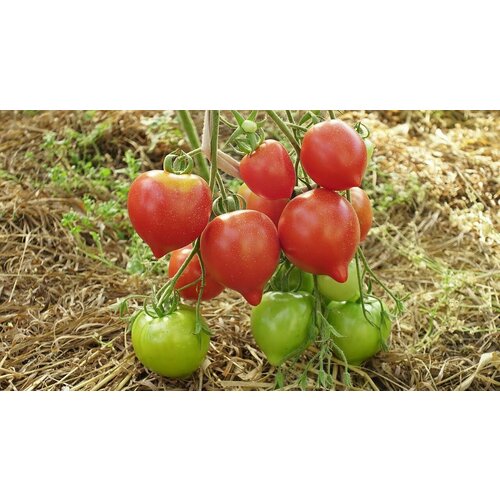 ������ ������ ������������� ������ ������ ������ 2 ��������� ����