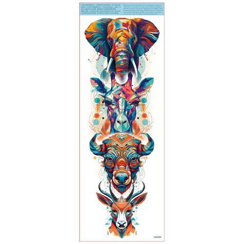 ������ ������ ���������� ��������� ���� ����� �� �������� / 45 � 17 �� ���� ����