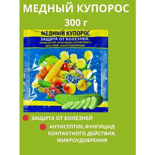 ������ ������ ������ ������� 300 � ����