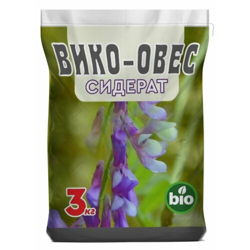 ������ ������ ����-���� ������ ������ �������� ��� ���� 3 ��. ����