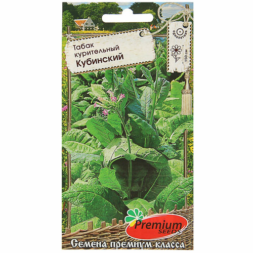 ������ ������ ������ ������ ���� 