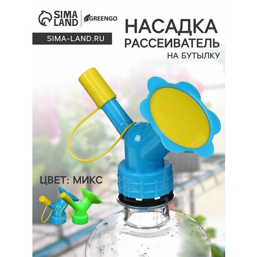 ������ ������ �������-������������ �� ������� Greengo, ���� ����, ������������� ����