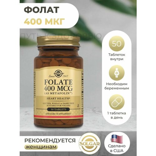 ������ ������ ������, �����, 400 ���, 50 ��� ����