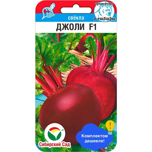 ������ ������ ������ ������ ��������� ��� 