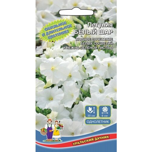 ������ ������ ������ ������� ����� ��� (��) �/� ����