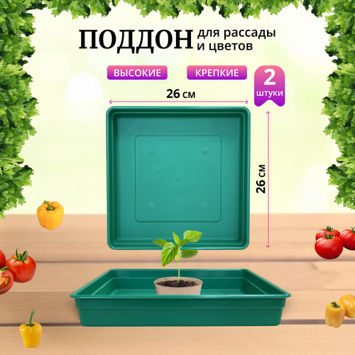 ������ ������ ������ ��� ������� 260�260�40��, �����������, �������, ����� 2�� ����