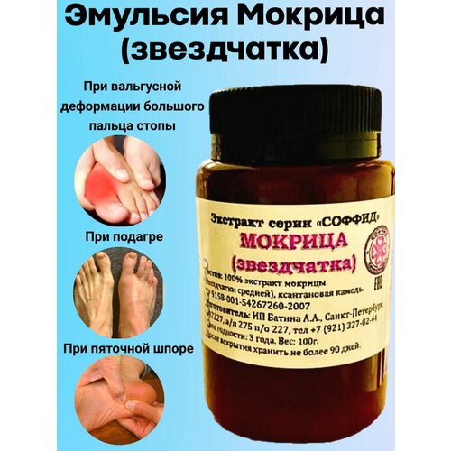 ������ ������ �������� �������, ����� ������� (����������) �� ������� � ���������� ���������� ��������������, ��� �������� � ������ ��������������, ������ ����