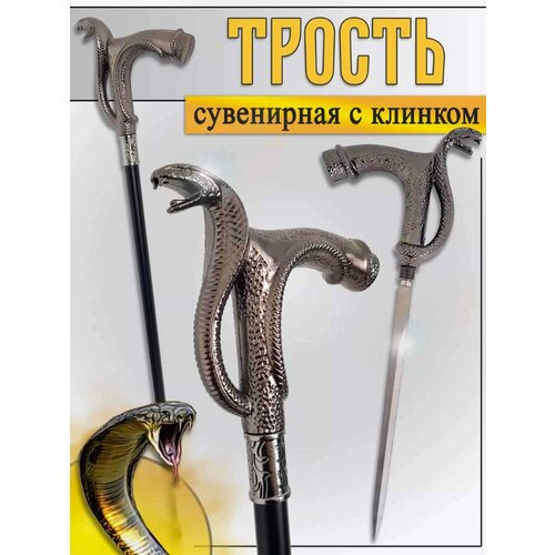 ������ ������ ������ ������� � ������� (����) ����