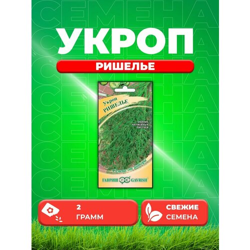 ������ ������ ����� ������� 2,0 � �����. ����