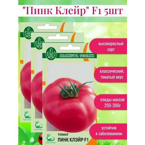 ������ ������ ������ ������ ���� ����� F1 ����