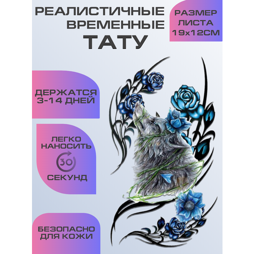 ������ ������ ���� ���������� ��������������, ��������� ���� ����