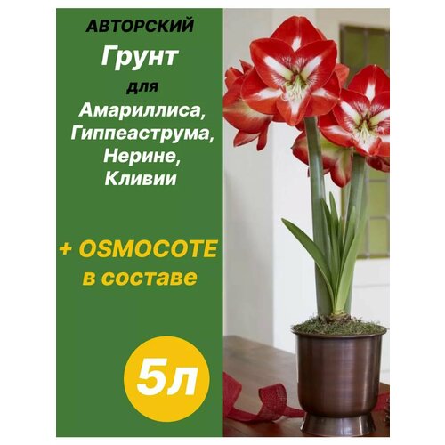 ������ ������ ����� ��� ����������, ������������, ������, ������ 5� ������� ����