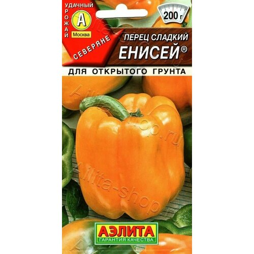 ������ ������ ����� ������� ������ (3 ��������) ����