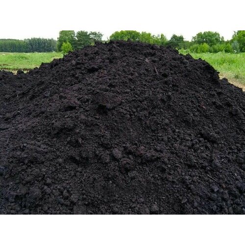 ������ ������ ������������ ����������� �������� � ����� 15�� ����