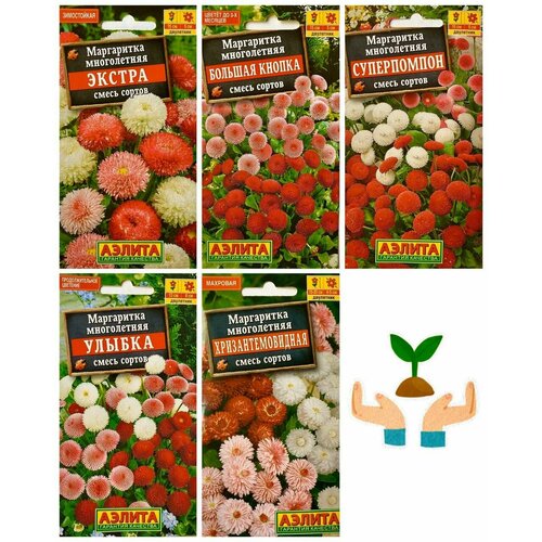 ������ ������ ������ ����������� ������ ��� ���� ���������� ����� ������, ����� 5 ��. ����