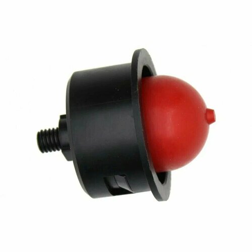 ������ ������ ��������(�������) � ������� ����