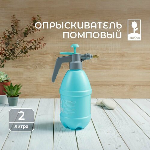 ������ ������ ������������� �������� 2 � INBLOOM , �������������, ����������� ������ ����