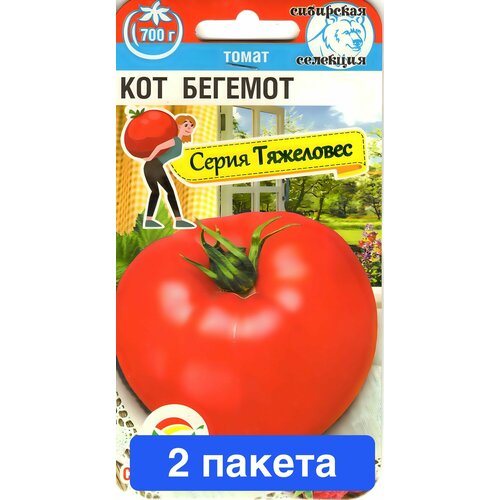 ������ ������ ������ ������ ��������� ��� 