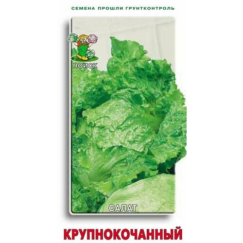 ������ ������ ������ ����� �������������� �� ����� ����