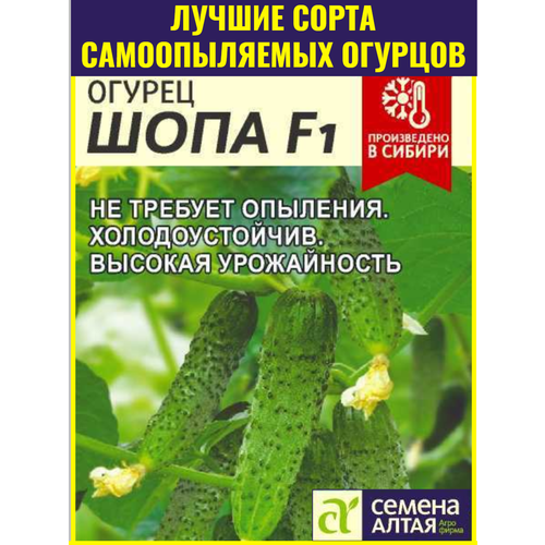 ������ ������ ������ ������������� ������� ���� F1 - 5 ��. ������ ������ ��� ��������� ������ � ������ ����