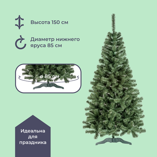 ������ ������ ������������� ���� 150 �� Homsly LENA-150 ����