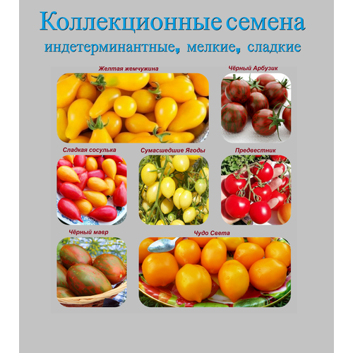 ������ ������ ����� ������������� ����� ���������������� ������ ������� ����