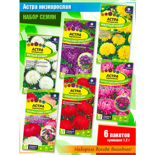 ������ ������ ����� ����� ����������� ����� �� ������ ����� (6 �����) ����