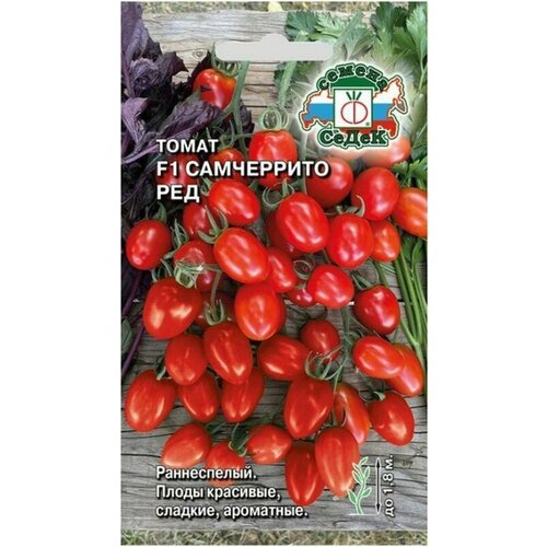 ������ ������ ����� ���������� ��� F1 ����