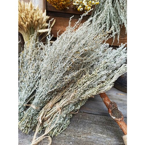 ������ ������ ������ �������, �� ������������, ���� ���� 2024�. ����