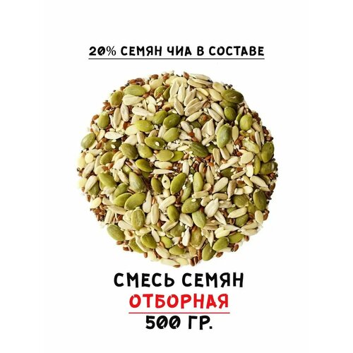 ������ ������ ����� ����� ��� ������. 500 ��. ����