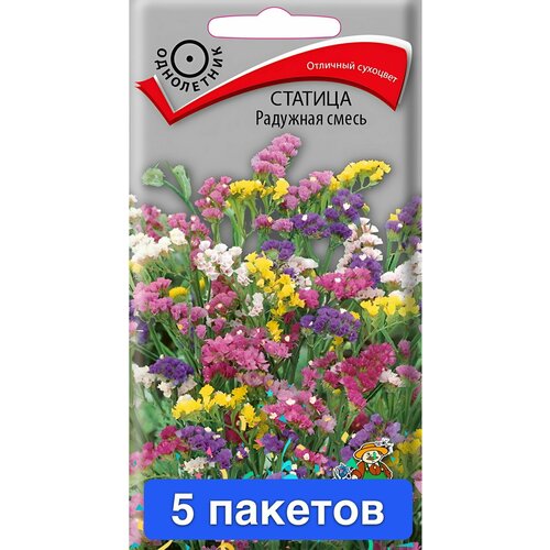 ������ ������ ����� ������� �������� ����� 5 ������� ����