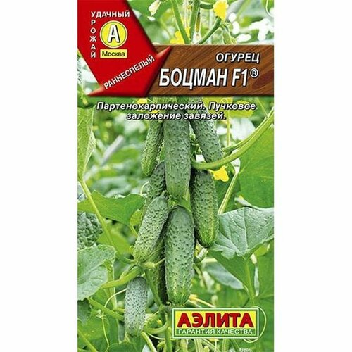 ������ ������ ������ ������ ������ F1 (������������������) (������) 10�� ����