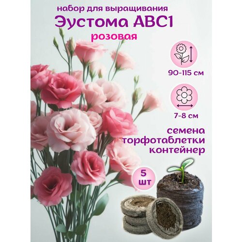 ������ ������ ������ ������� ������� + �������� ��������, 5��, ����� ��� ����������� ����