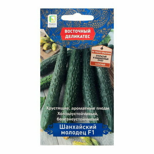 ������ ������ ������ ������ 