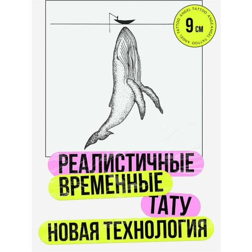 ������ ������ ���� ���������� �������������� �������� ��� ����