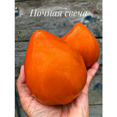 ������ ������ ������������� ������ ������ ������ ����� ����