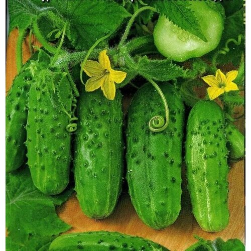 ������ ������ ������������� ������ ������ ������ ���� ����