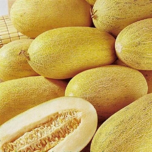 ������ ������ ������������� ������ ���� ������� ������� ����