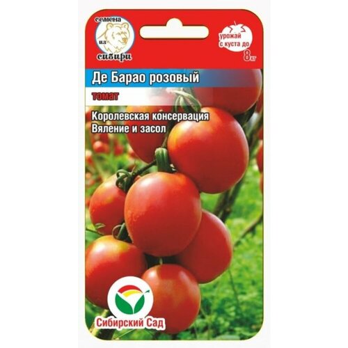 ������ ������ ������ ����� �� ����� ������� 20�� ����� (��������� ���) ����