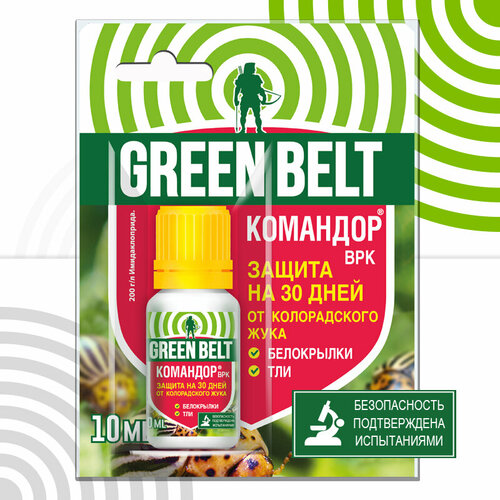 ������ ������ �������� ����