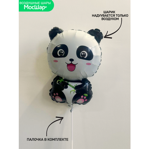 ������ ������ ��� �� ������� ���� ������ ����� ����