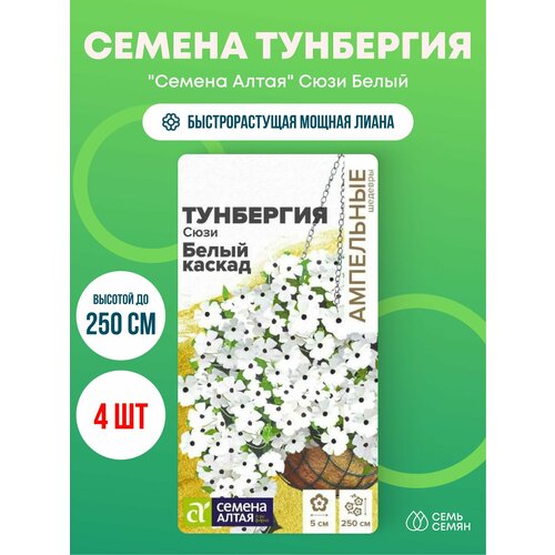 ������ ������ ������ ��������� 