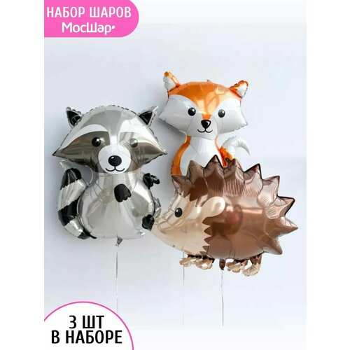 ������ ������ ����� �������������� ����� ������ ����� ����