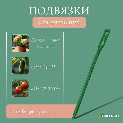 ������ ������ �������� ��� ��������, ����� 9 ��, ����� 50 ��, Greengo ����