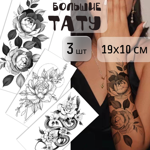 ������ ������ ����� ������� ���������� ���� 3 ����� (19�10 ��). ��������� ����