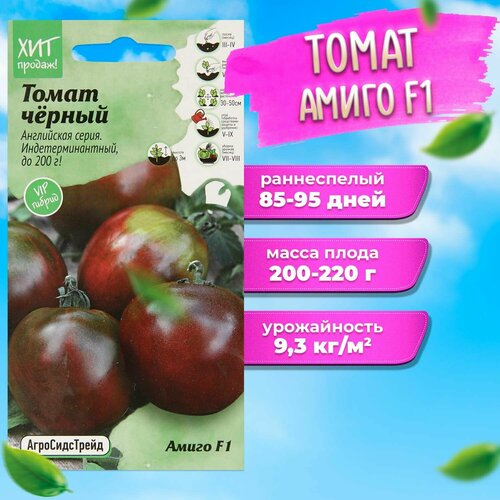 ������ ������ ����� ����� F1 5 �� ��� ��� ����������� ������ ����