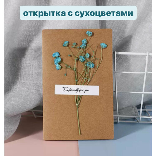 ������ ������ �������� ����� � ����������� ����� ����