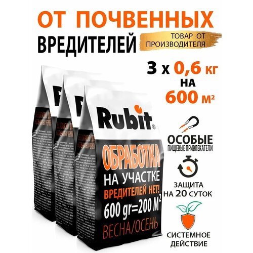 ������ ������ �������� ������ �������� ����� �������� 3 �� ����